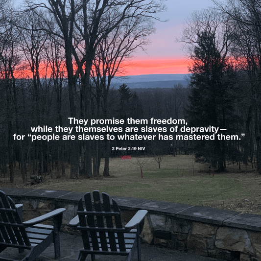March 1, 2022 Tuesday: A New Month and Fiber Show Prep. - Laurel Highlands Alpacas | AlpacaMom.com