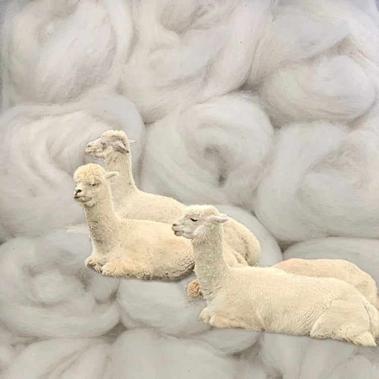 Alpaca Fiber - Laurel Highlands Alpacas | AlpacaMom.com