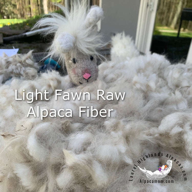 Light Fawn Raw Alpaca Fiber - Laurel Highlands Alpacas | AlpacaMom.com