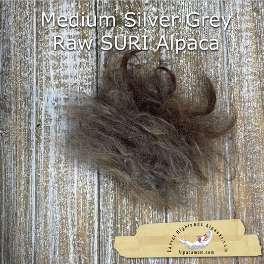 Clean Medium Silver Grey SURI Alpaca Fiber #22