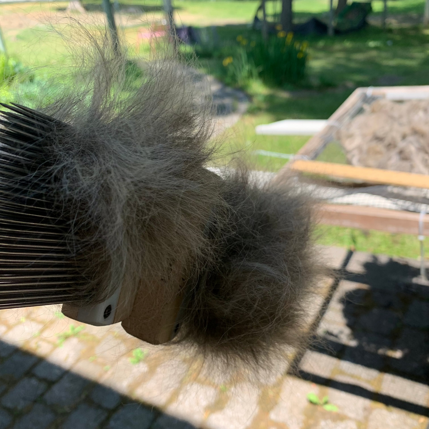 Washed Black Suri Alpaca Fiber Bundle Laurel Highlands Alpacas Being Combed