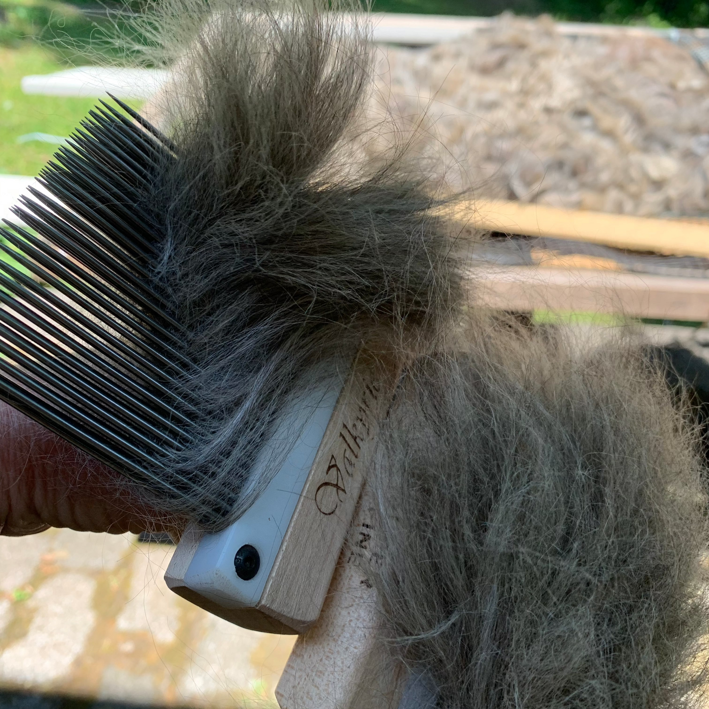 Washed_Grey_Suri_Alpaca_Fiber_Bundle_Laurel_Highlands_Alpacas_Being_Combed