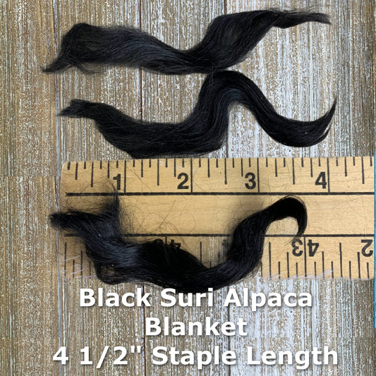 Clean Black Suri Alpaca Fiber Blanket for Spinning or Crafting - Laurel Highlands Alpacas | AlpacaMom.com