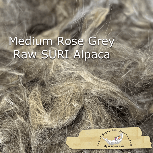 Clean Medium Rose Grey SURI Alpaca Fiber 22 - Laurel Highlands Alpacas | AlpacaMom.com