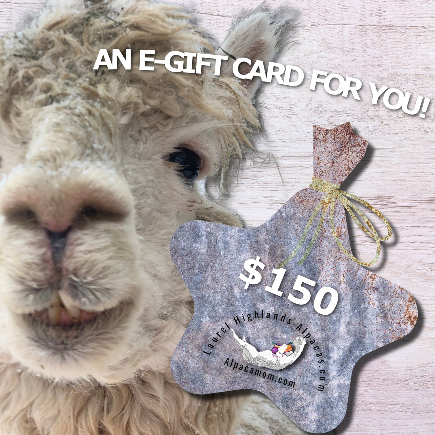 E - Gift Card - Laurel Highlands Alpacas | AlpacaMom.com