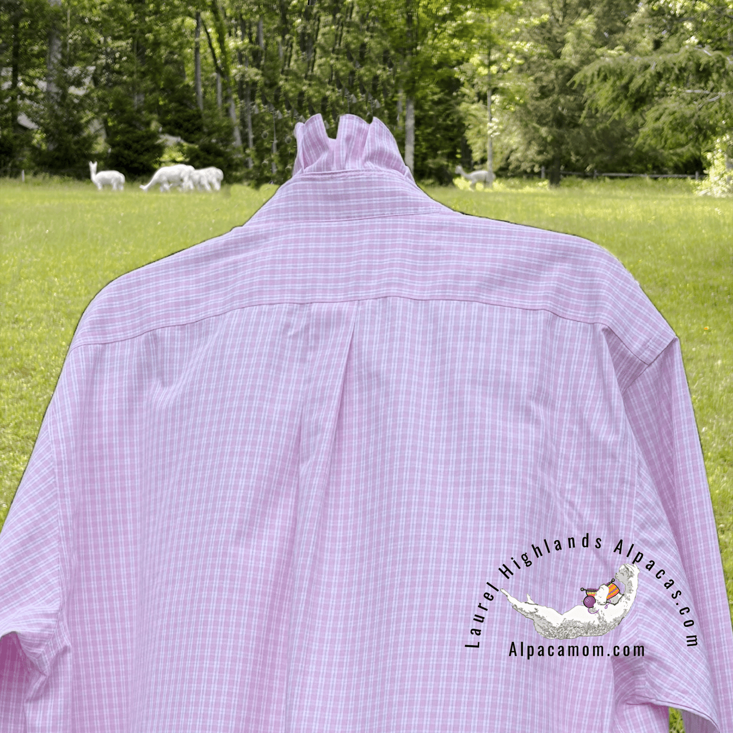 Fresh Pink and White Madison Up-Cycled Ruffled Collar Shirt - Laurel Highlands Alpacas | AlpacaMom.com