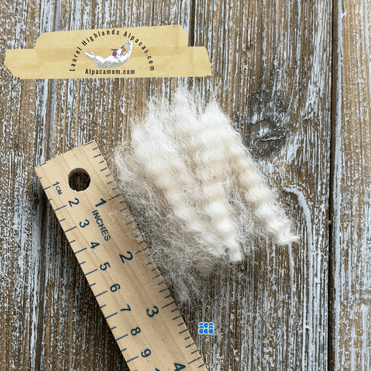 Raw - Unprocessed Alpaca Blanket Prime Fiber in Beige 11 - Laurel Highlands Alpacas | AlpacaMom.com