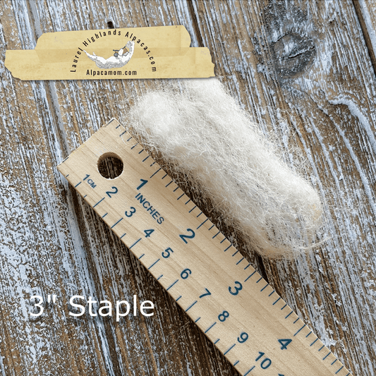 Raw - Unprocessed Alpaca Blanket Prime Fiber in BEIGE 13 - Laurel Highlands Alpacas | AlpacaMom.com
