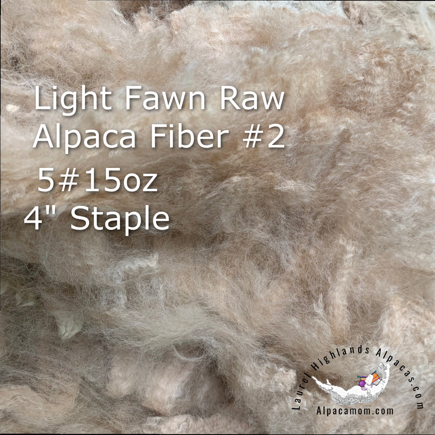Raw - Unprocessed Alpaca Blanket Prime Fiber in Light Fawn 2 - Laurel Highlands Alpacas | AlpacaMom.com