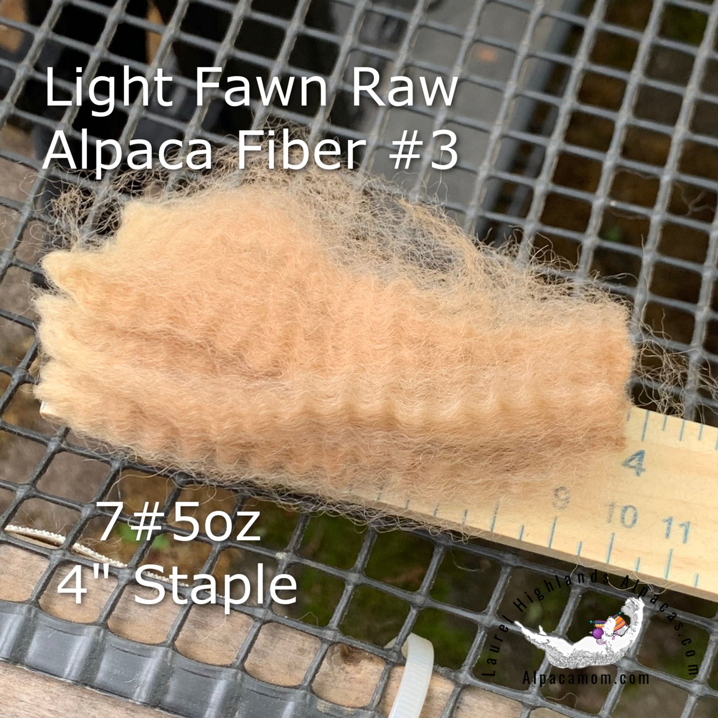 Raw - Unprocessed Alpaca Blanket Prime Fiber in Light Fawn 3 - Laurel Highlands Alpacas | AlpacaMom.com