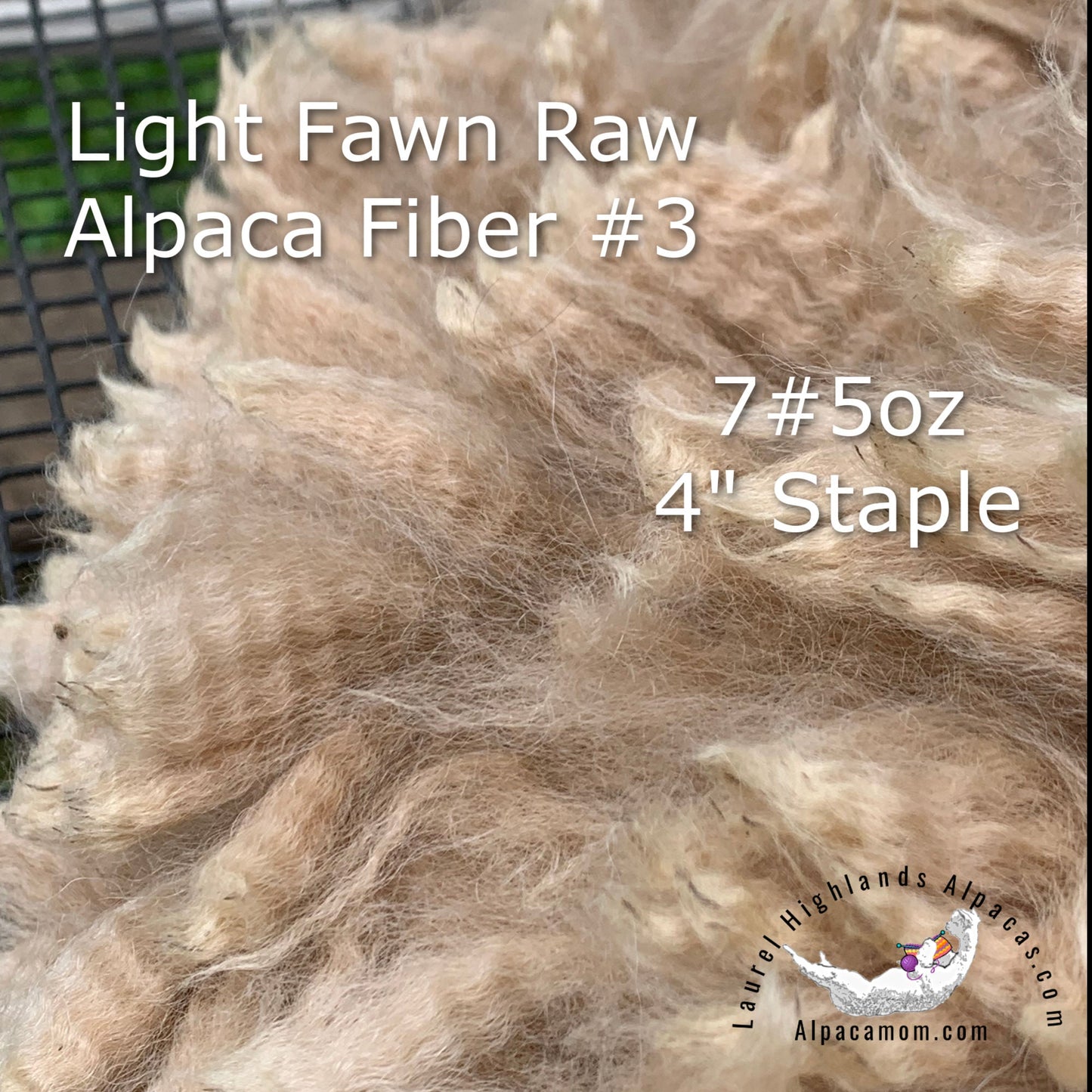 Raw - Unprocessed Alpaca Blanket Prime Fiber in Light Fawn 3 - Laurel Highlands Alpacas | AlpacaMom.com