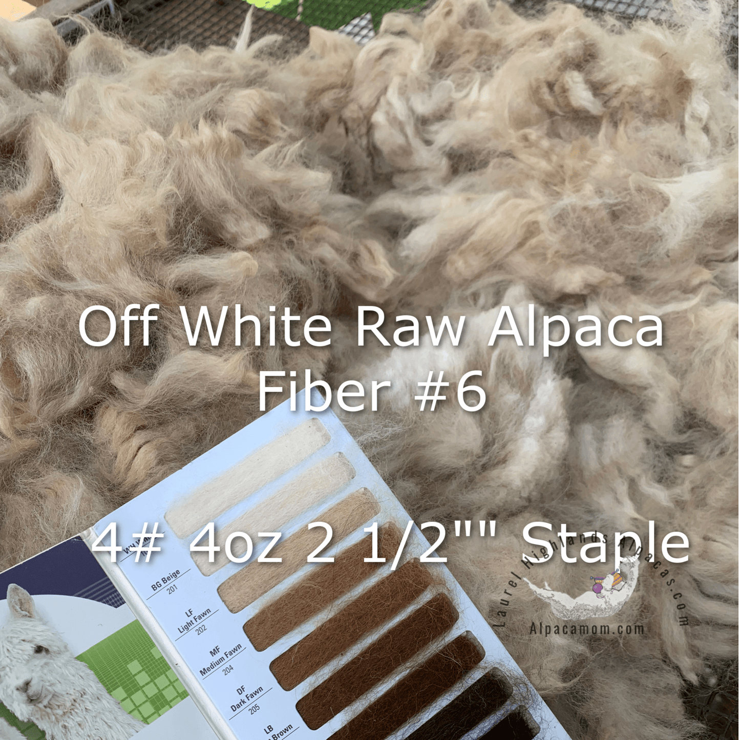 Raw - Unprocessed Alpaca Blanket Prime Fiber in Off - White 6 - Laurel Highlands Alpacas | AlpacaMom.com