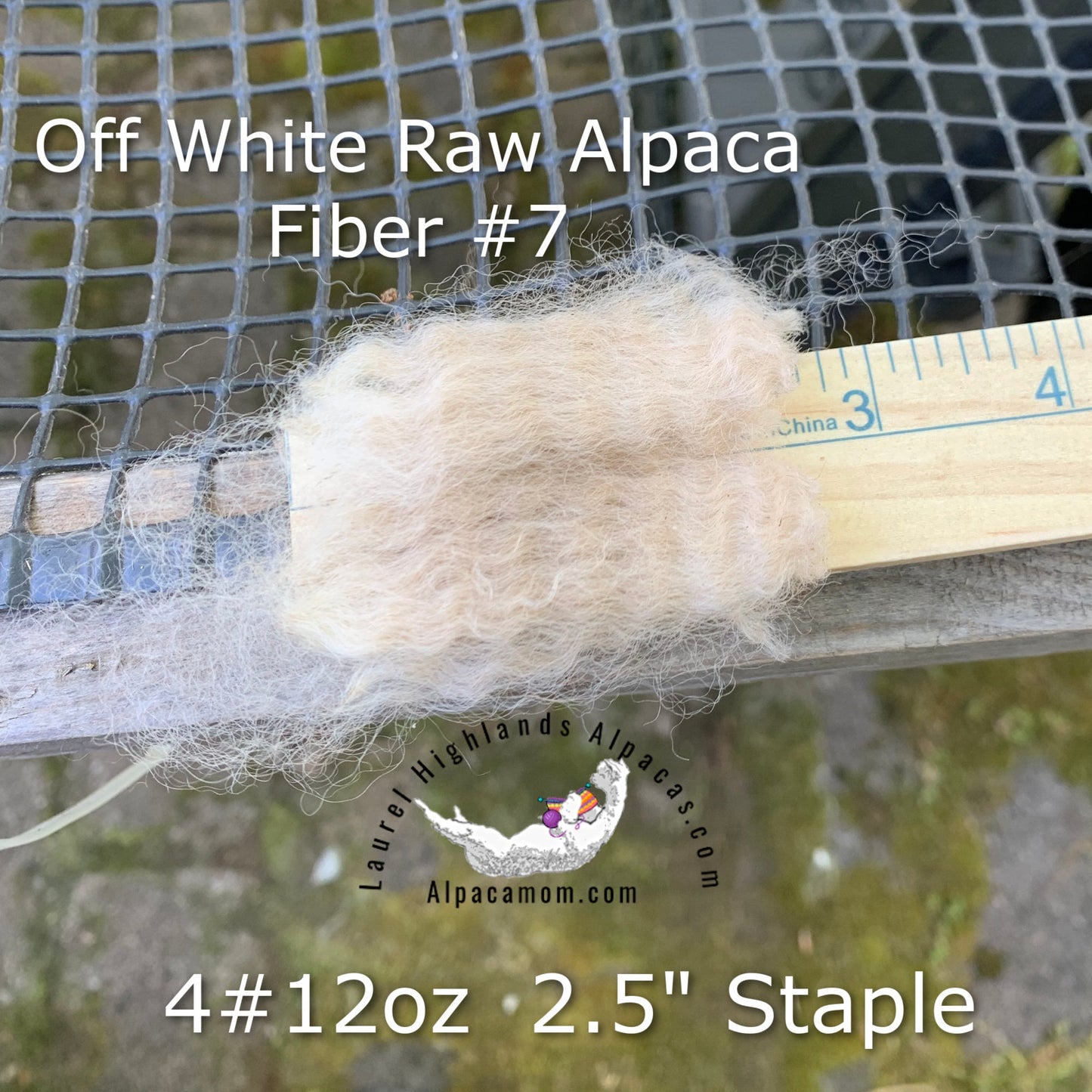 Raw - Unprocessed Alpaca Blanket Prime Fiber in Off - White 7 - Laurel Highlands Alpacas | AlpacaMom.com