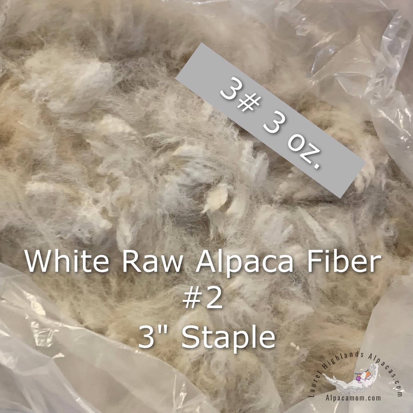 Raw - Unprocessed Alpaca Blanket Prime Fiber in White 2 - Laurel Highlands Alpacas | AlpacaMom.com