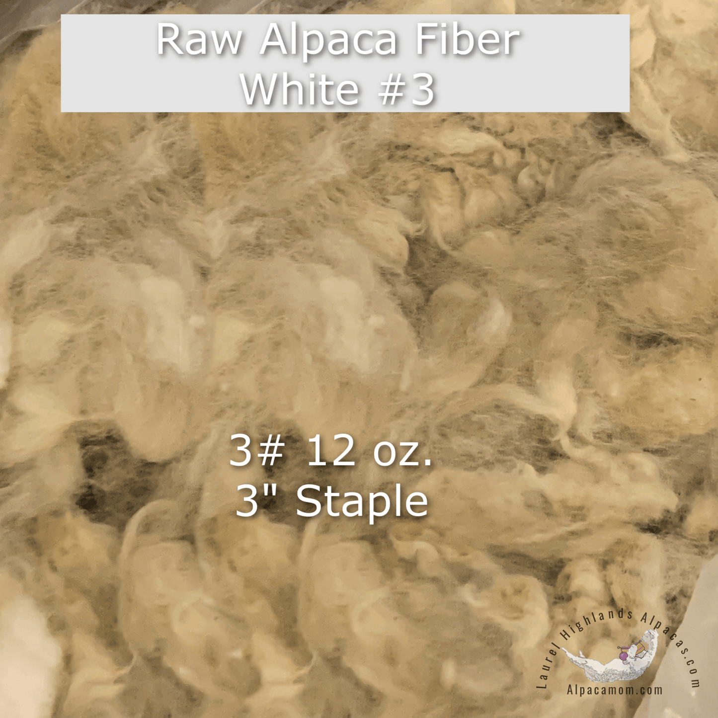 Raw - Unprocessed Alpaca Blanket Prime Fiber in White 3 - Laurel Highlands Alpacas | AlpacaMom.com