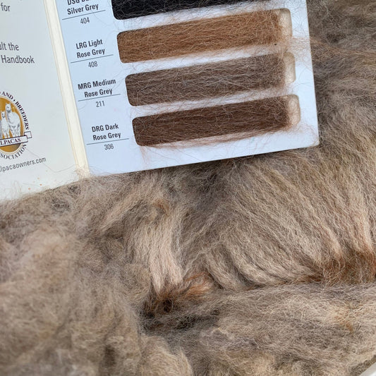 Raw - Unprocessed Alpaca Prime Fiber Blanket in Medium Rose Grey from Rocket - Laurel Highlands Alpacas | AlpacaMom.com
