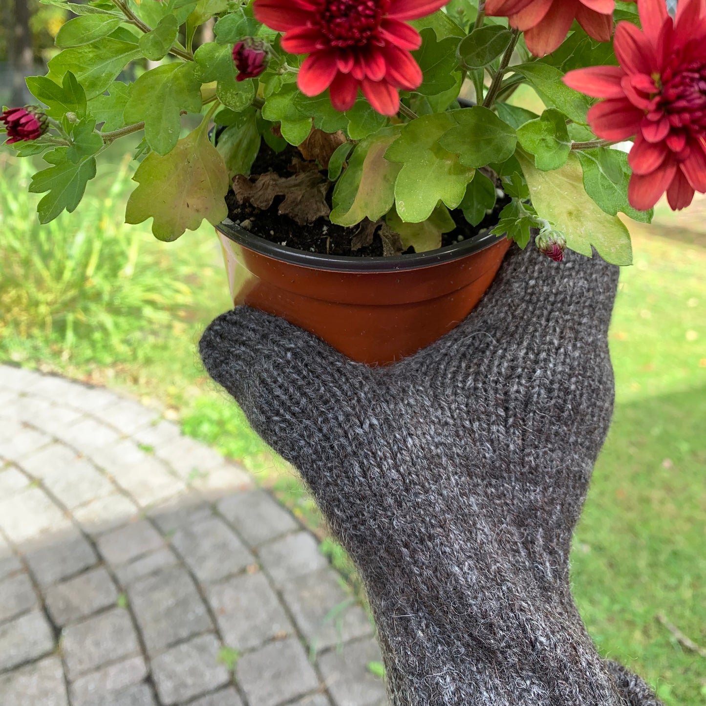 Lined Alpaca Mittens
