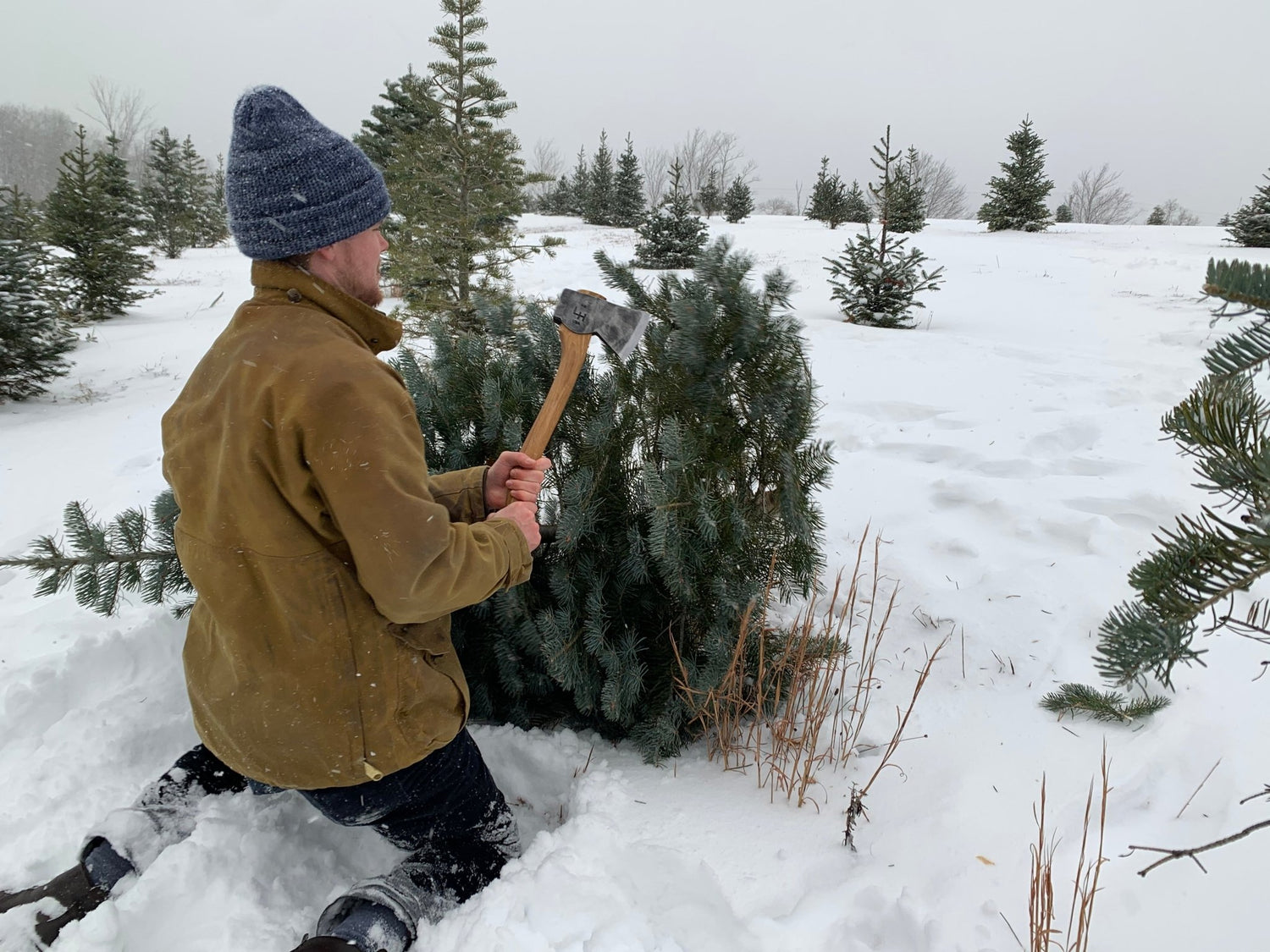 Alpaca Hats and Beanies - Laurel Highlands Alpacas | AlpacaMom.com