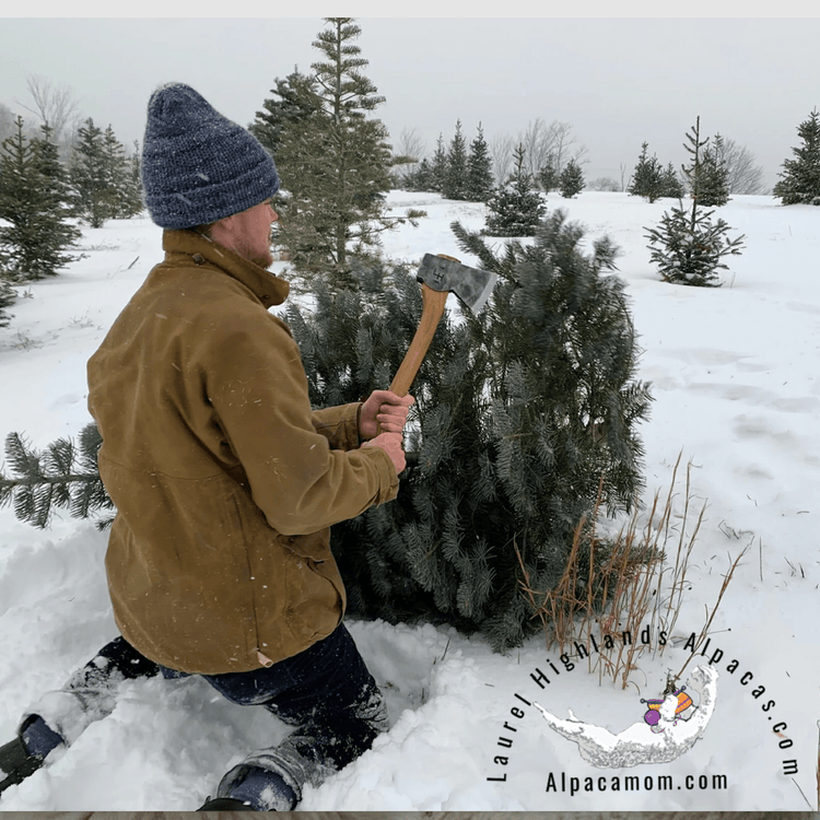 Cozy Winter Gifts - Laurel Highlands Alpacas | AlpacaMom.com