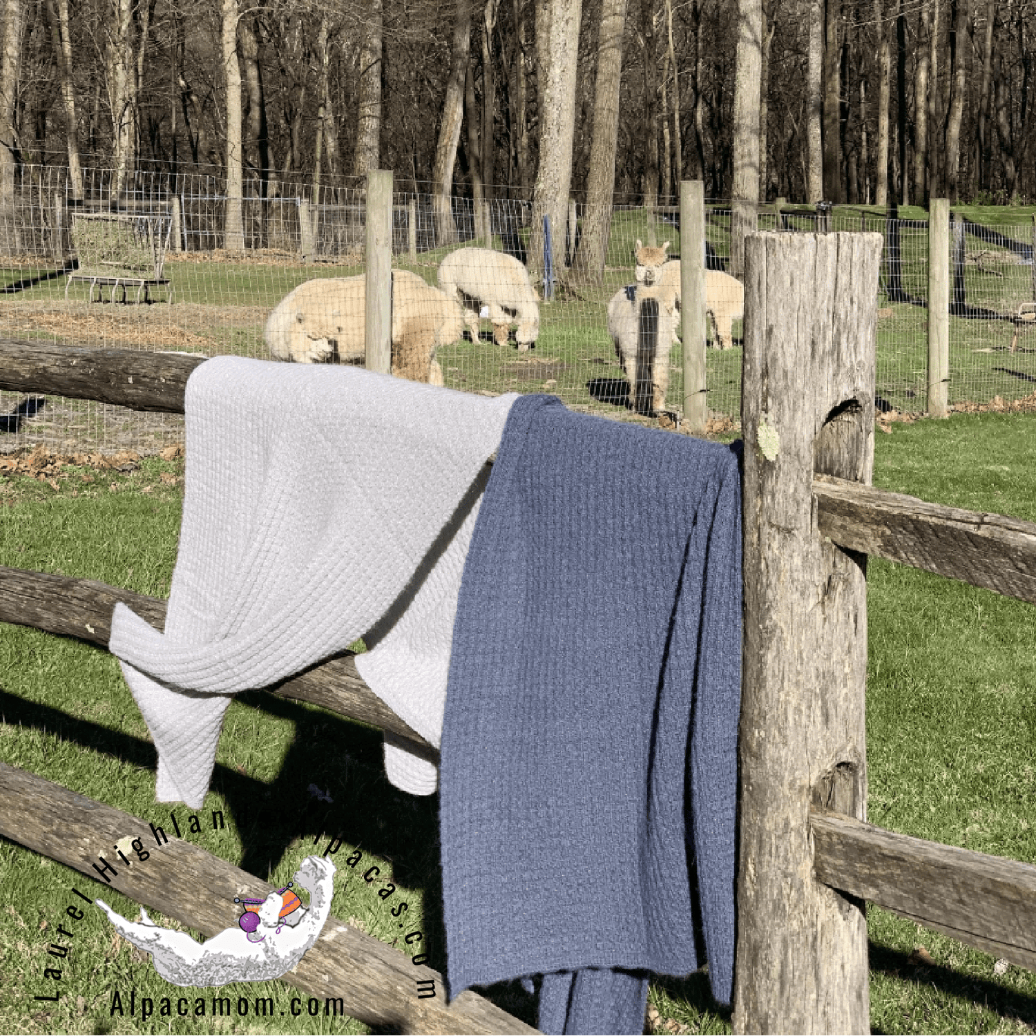 Luxury Alpaca Gifts - Laurel Highlands Alpacas | AlpacaMom.com