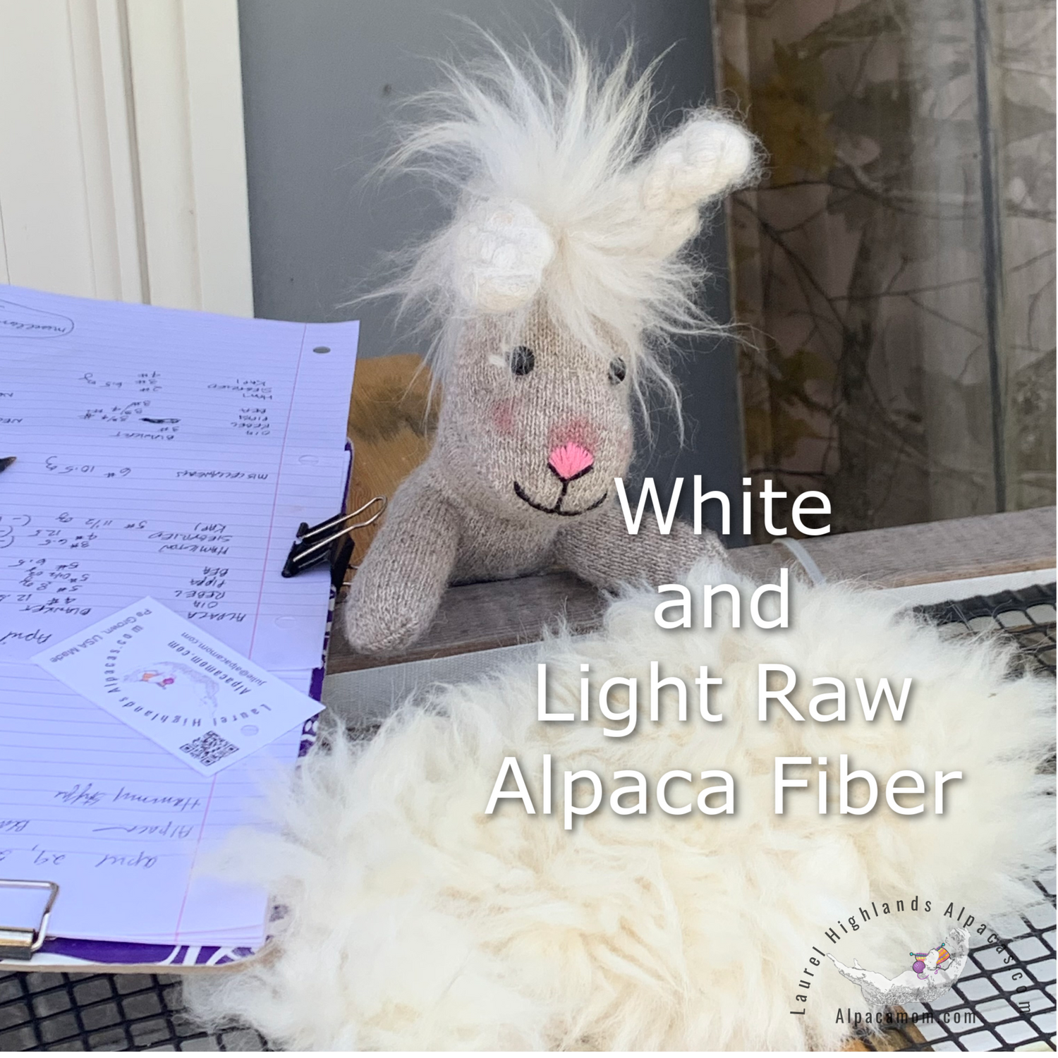 Hammy skirting raw white alpaca fiber from Laurel Highlands Alpacas in Pa.