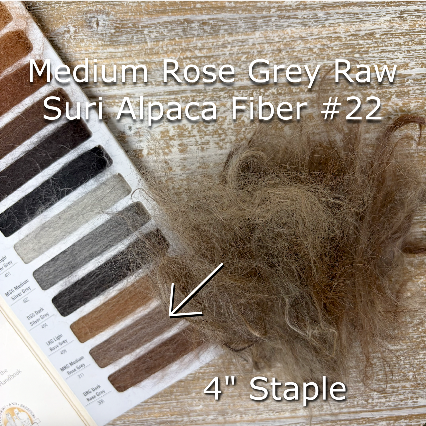 Clean Medium Silver Grey SURI Alpaca Fiber #22