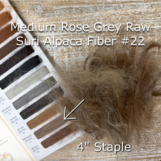 Clean Medium Silver Grey SURI Alpaca Fiber #22
