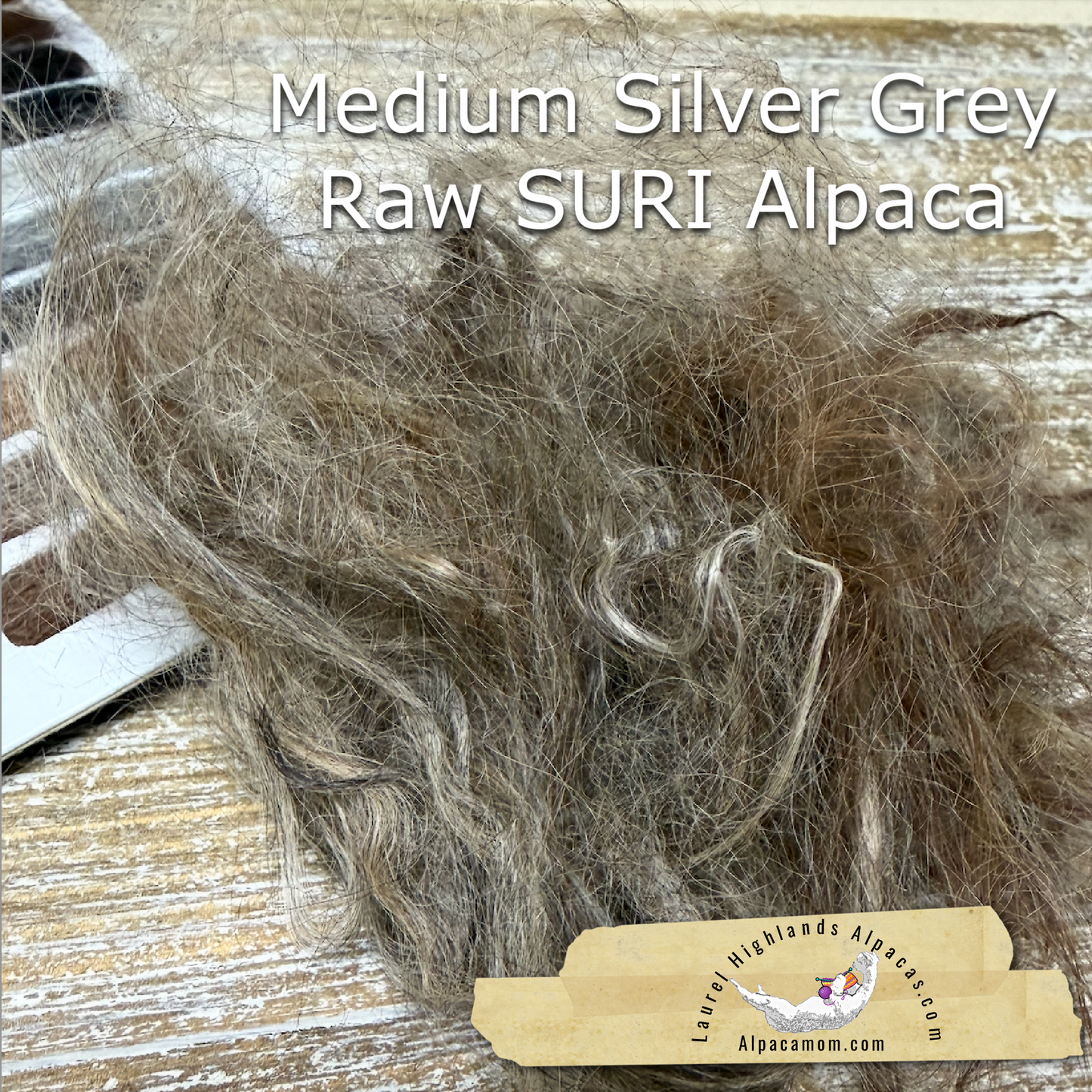 Clean Medium Silver Grey SURI Alpaca Fiber #22