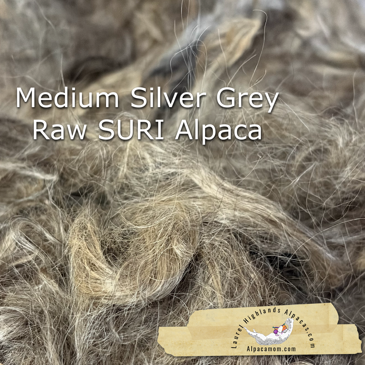 Clean Medium Silver Grey SURI Alpaca Fiber #22
