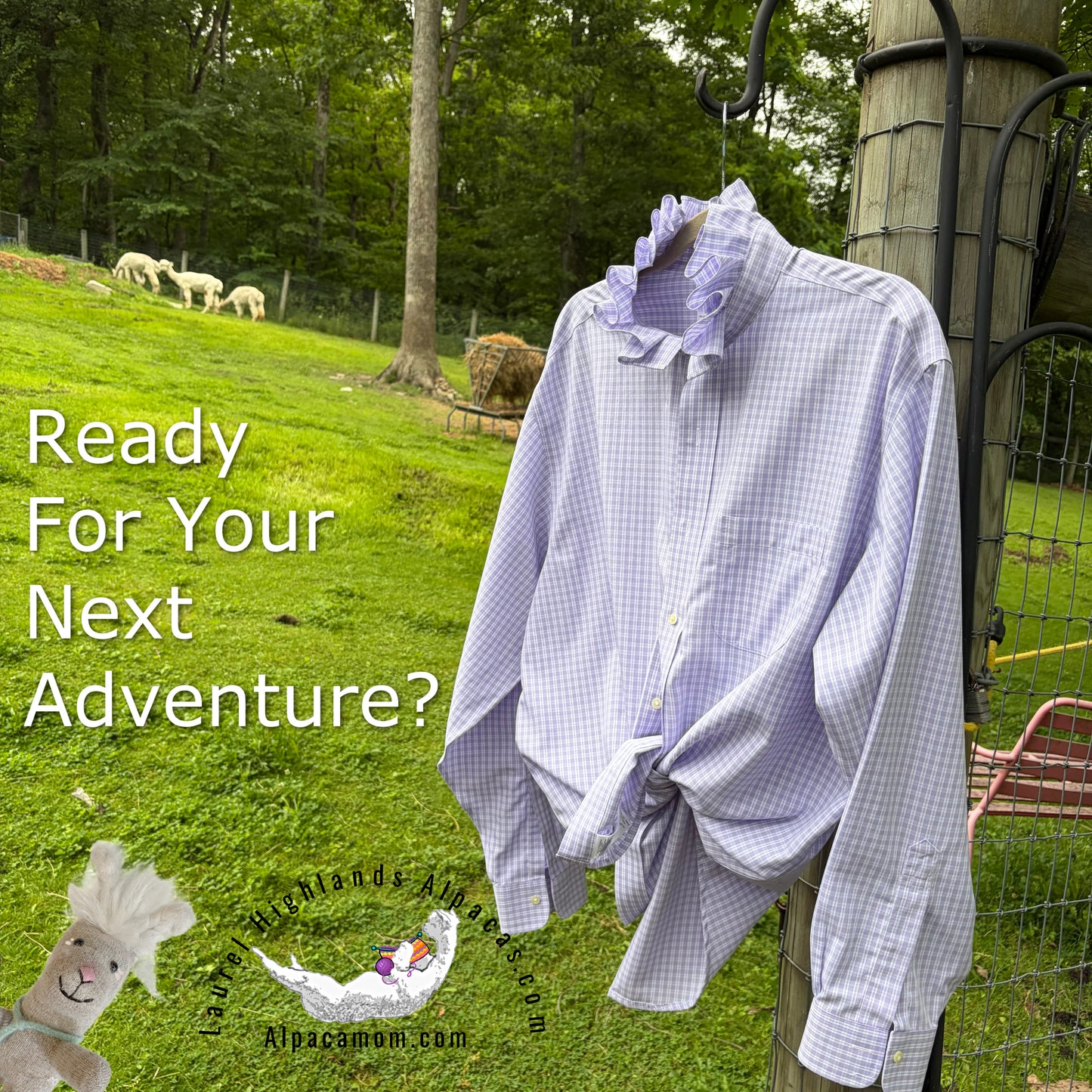 Soft Lavendar Madison Up-Cycled Ruffled Collar Shirt