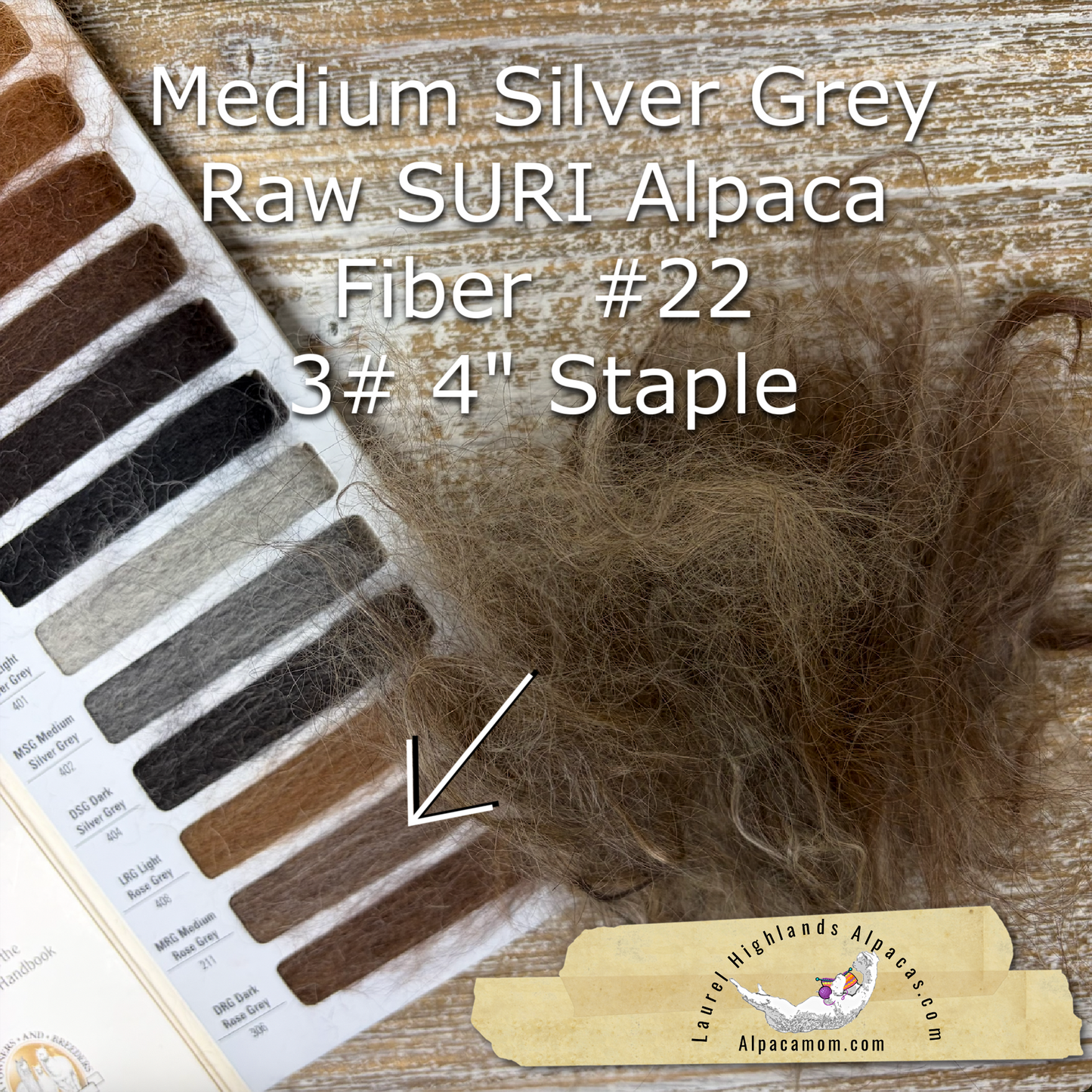 Clean Medium Silver Grey SURI Alpaca Fiber #22
