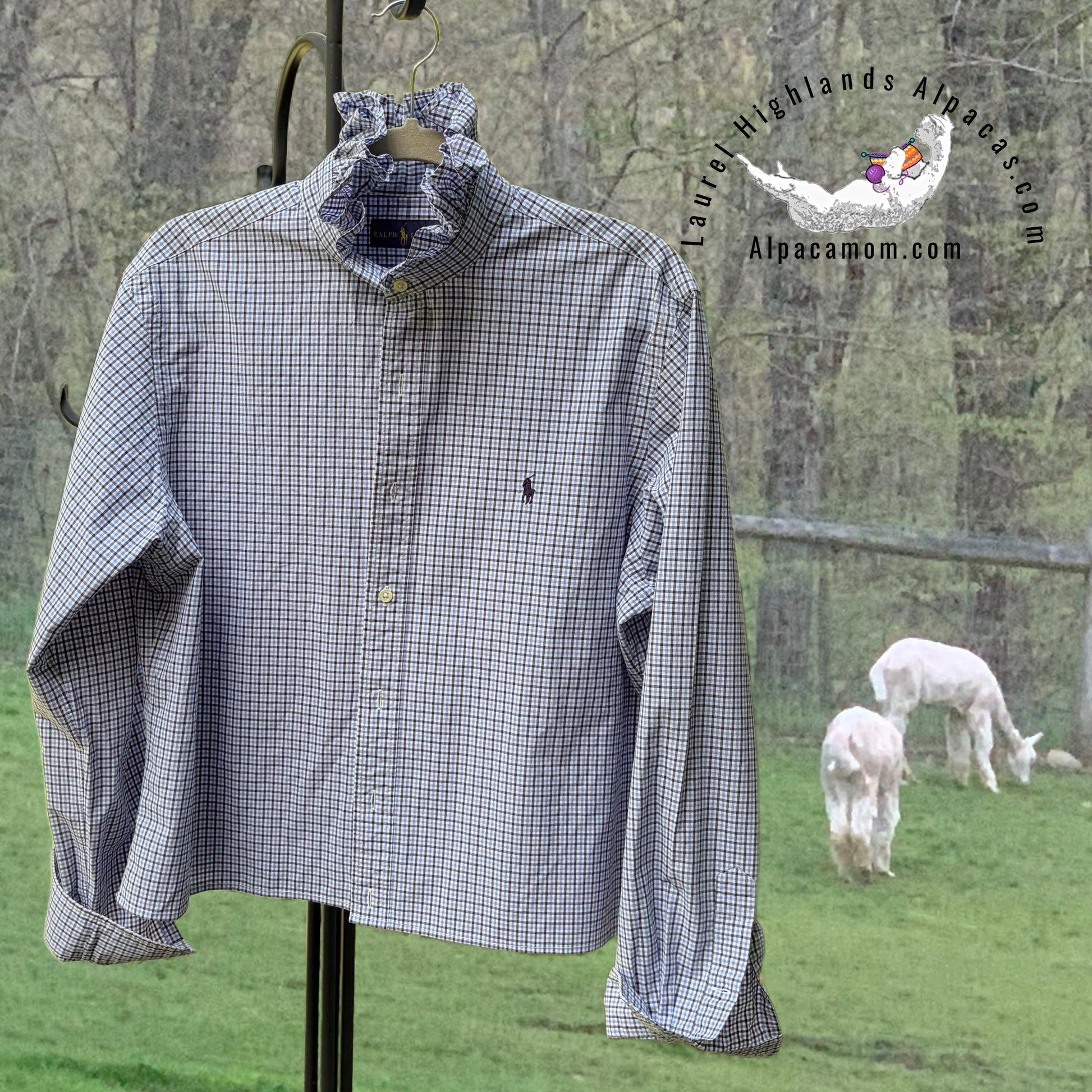 Alex's Ralph Lauren Upcycled Ruffled Collar Shirt - Laurel Highlands Alpacas | AlpacaMom.com