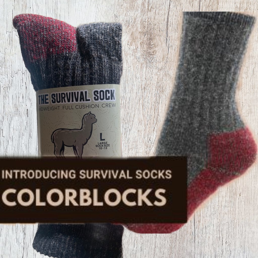 Alpaca Colorblock Crew Survival Sock - Laurel Highlands Alpacas | AlpacaMom.com