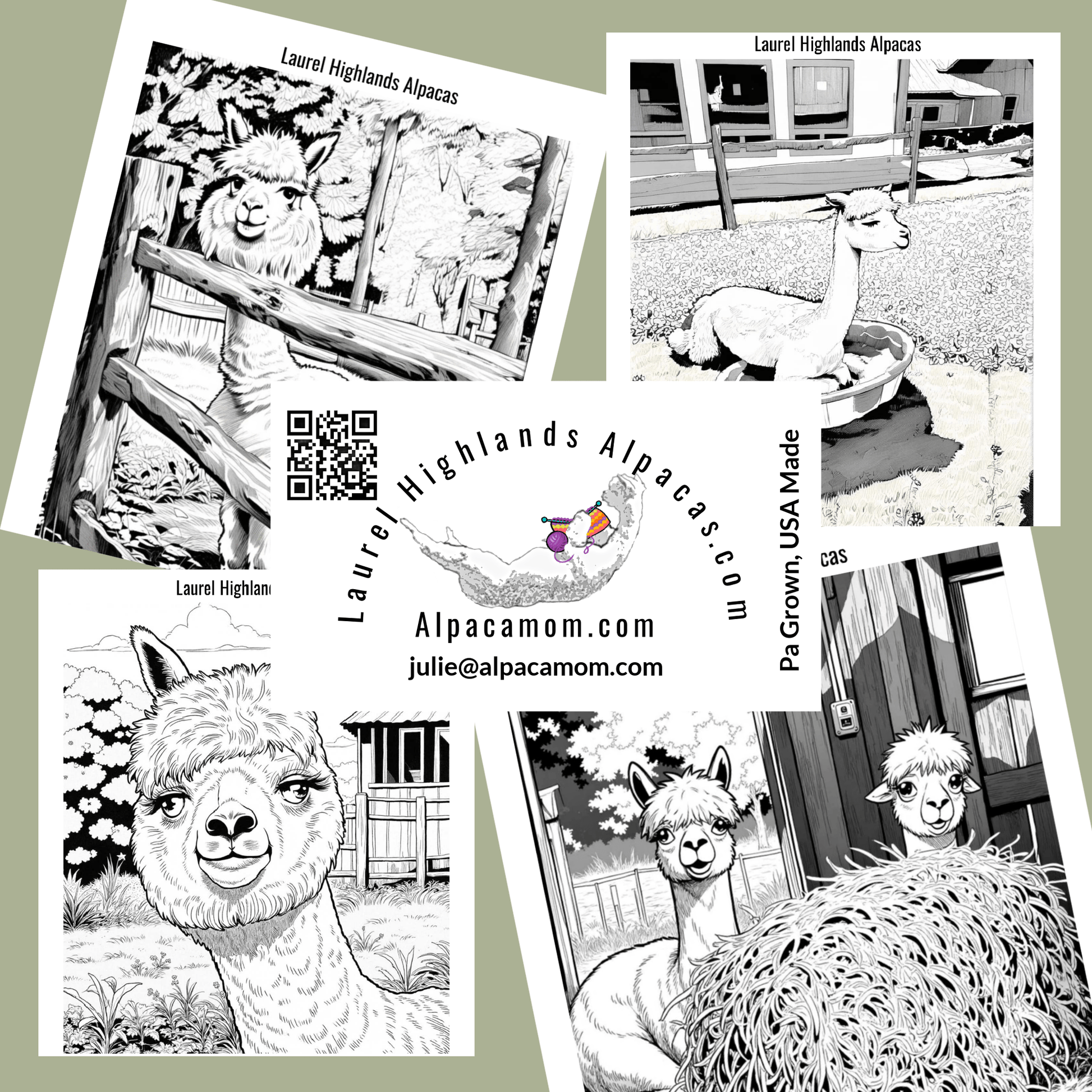 Alpaca Coloring Book - Laurel Highlands Alpacas | AlpacaMom.com
