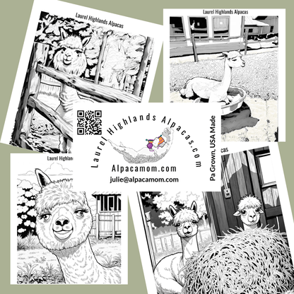 Alpaca Coloring Book - Laurel Highlands Alpacas | AlpacaMom.com