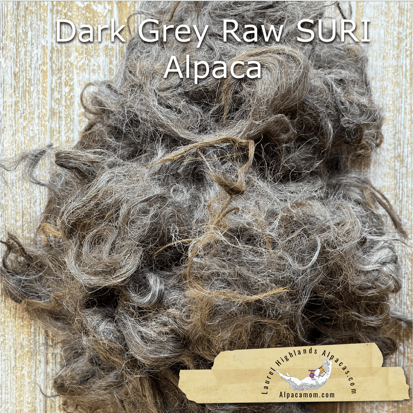 Clean Dark Grey SURI Alpaca Fiber 24 - Laurel Highlands Alpacas | AlpacaMom.com