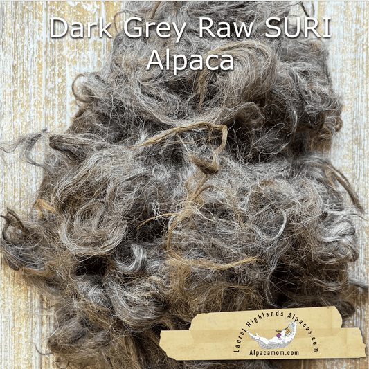Clean Dark Grey SURI Alpaca Fiber 24 - Laurel Highlands Alpacas | AlpacaMom.com