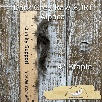 Clean Dark Grey SURI Alpaca Fiber 24 - Laurel Highlands Alpacas | AlpacaMom.com