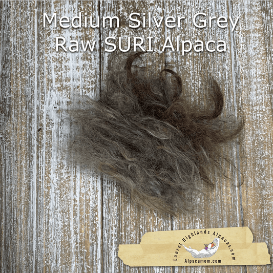 Clean Medium Grey SURI Alpaca Fiber 23 - Laurel Highlands Alpacas | AlpacaMom.com