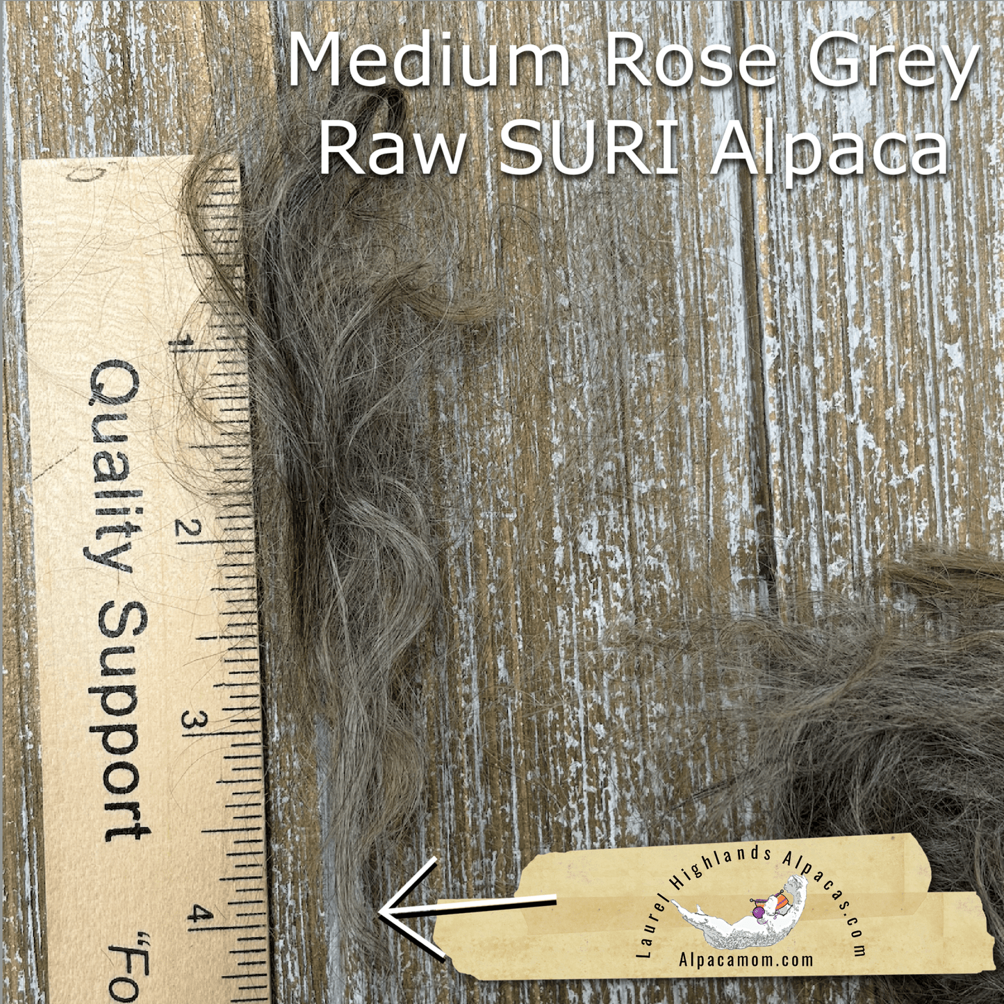 Clean Medium Rose Grey SURI Alpaca Fiber 22 - Laurel Highlands Alpacas | AlpacaMom.com