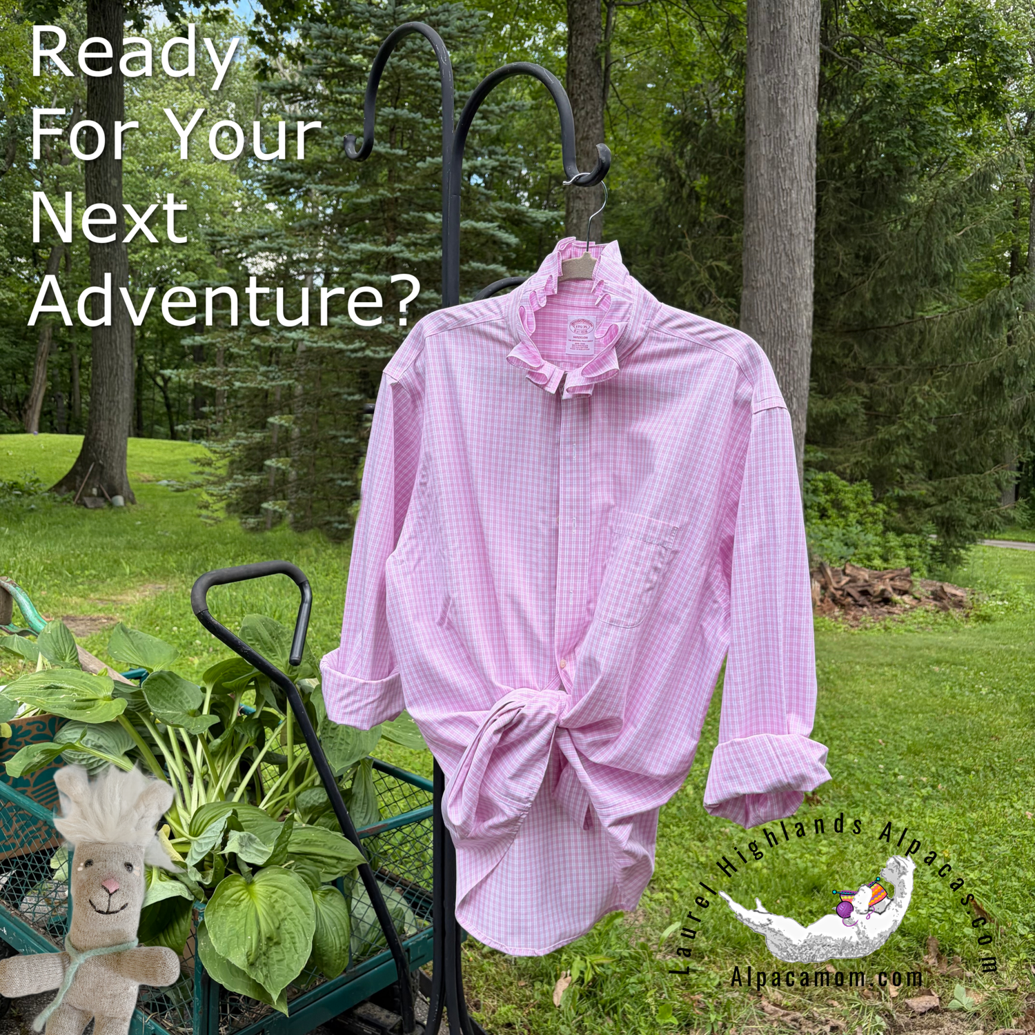 Fresh Pink and White Madison Up-Cycled Ruffled Collar Shirt - Laurel Highlands Alpacas | AlpacaMom.com