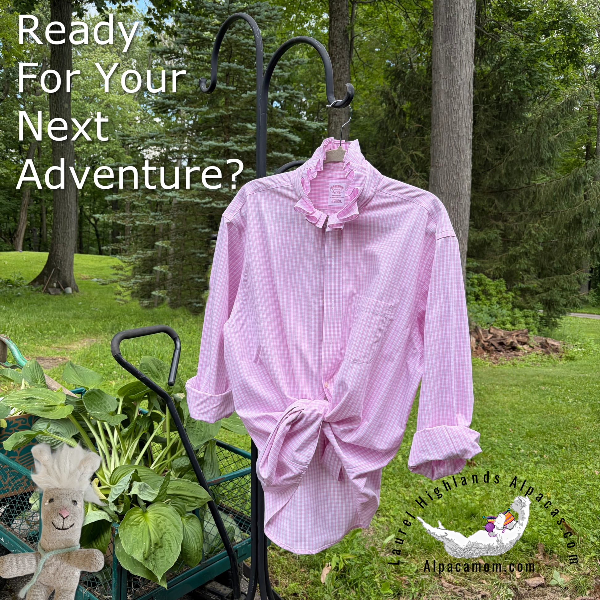 Fresh Pink and White Madison Up-Cycled Ruffled Collar Shirt - Laurel Highlands Alpacas | AlpacaMom.com