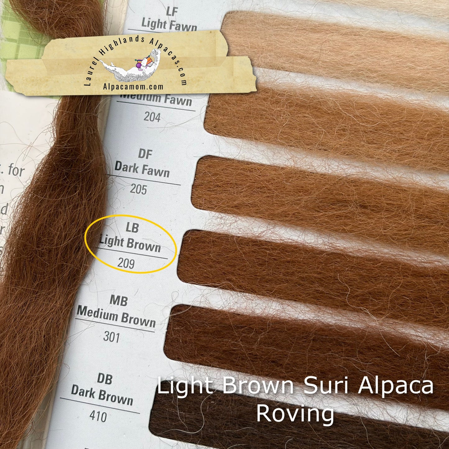 Light Brown Suri Alpaca Roving - Laurel Highlands Alpacas | AlpacaMom.com