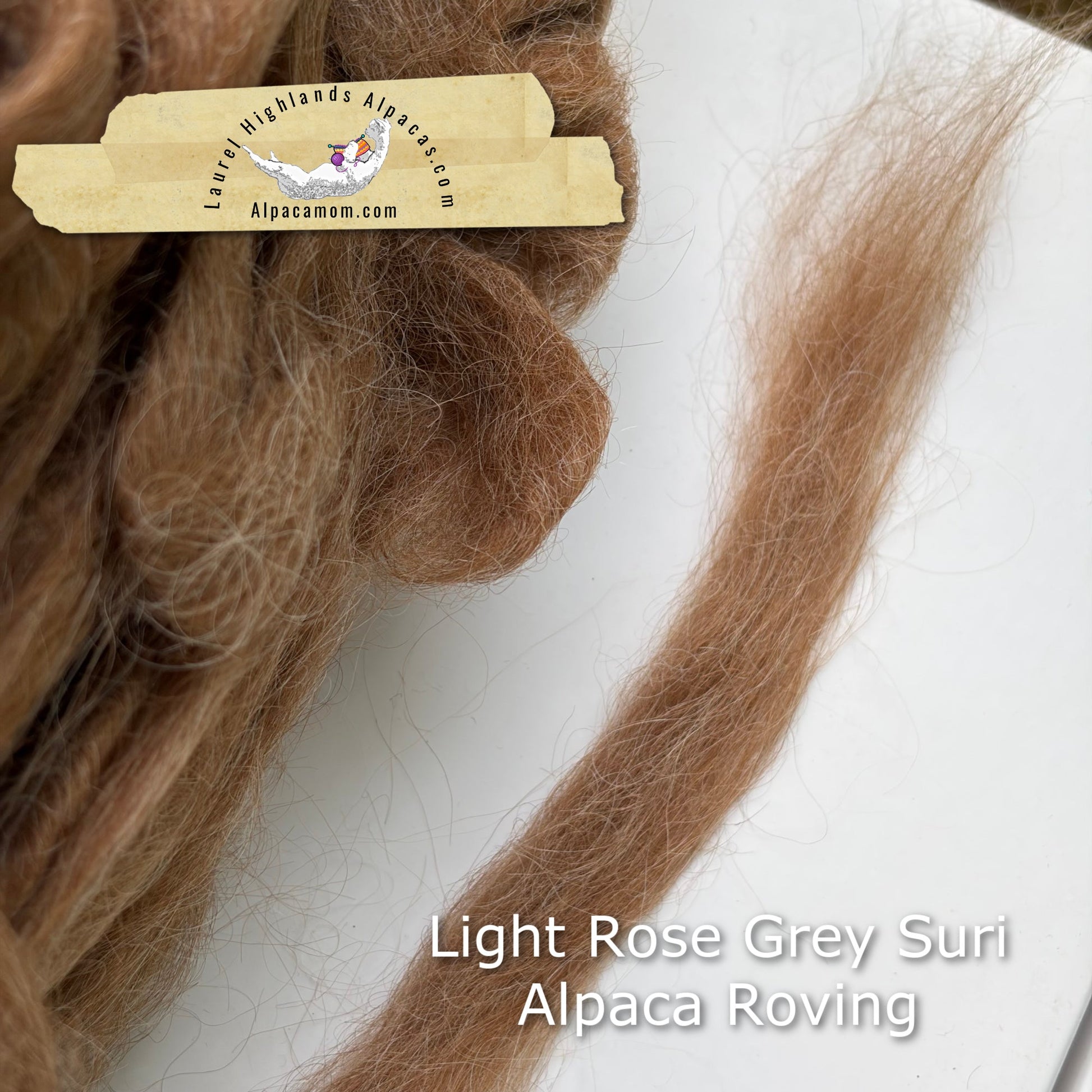 Light Rose Grey Suri Alpaca Roving - Laurel Highlands Alpacas | AlpacaMom.com