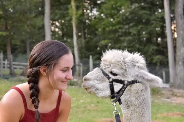 Pa Yarn Quest 2026 Passport! - Laurel Highlands Alpacas | AlpacaMom.com