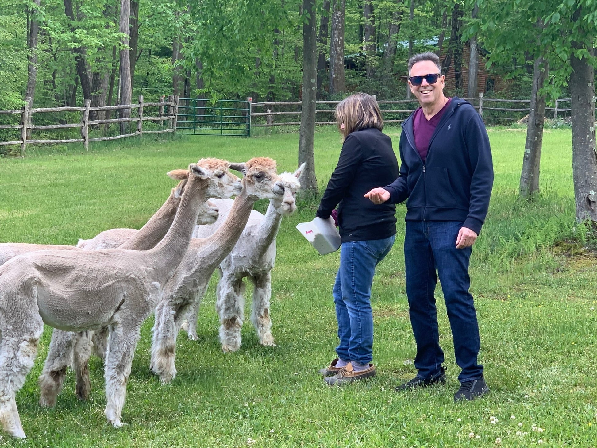 Pa Yarn Quest 2026 Passport! - Laurel Highlands Alpacas | AlpacaMom.com