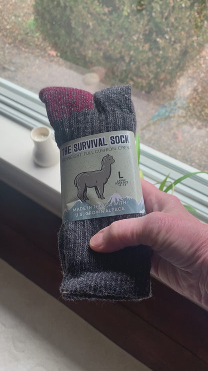 Alpaca Colorblock Crew Survival Sock