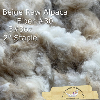 Raw Alpaca Fleece Blanket BEIGE - Laurel Highlands Alpacas | AlpacaMom.com