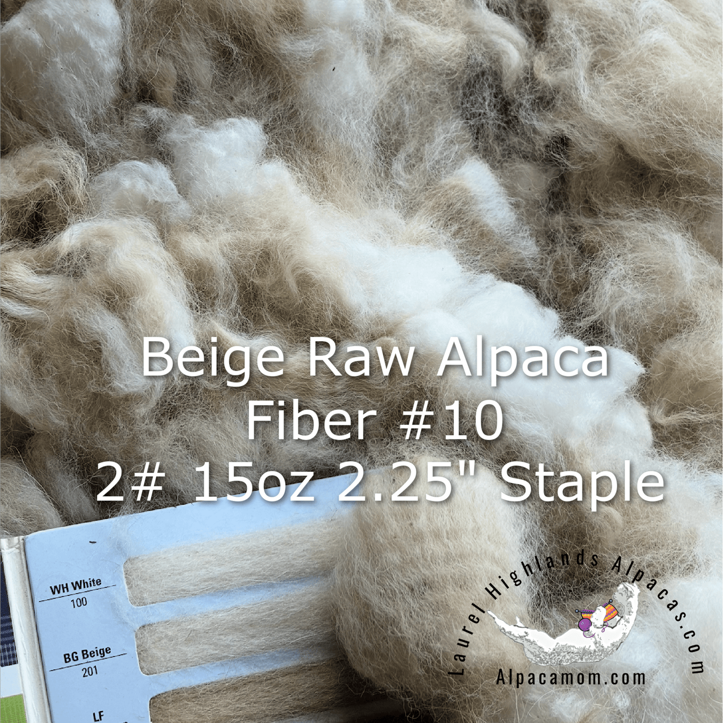 Raw - Unprocessed Alpaca Blanket Prime Fiber in Beige 10 - Laurel Highlands Alpacas | AlpacaMom.com
