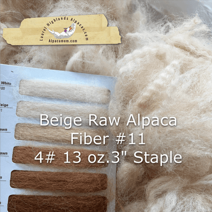 Raw - Unprocessed Alpaca Blanket Prime Fiber in Beige 11 - Laurel Highlands Alpacas | AlpacaMom.com